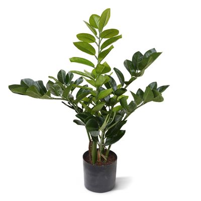 Zamioculcas kunstplant 55cm