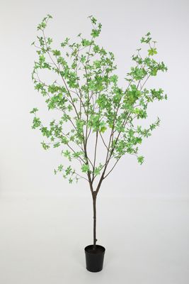 Small Leaves Plant groen H190