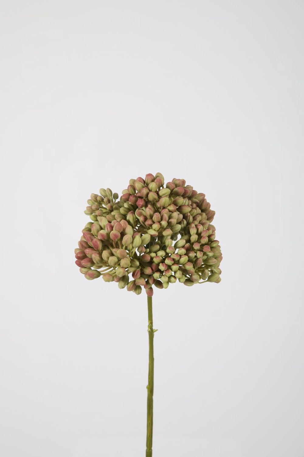 Berry Stem 32cm dia12cm