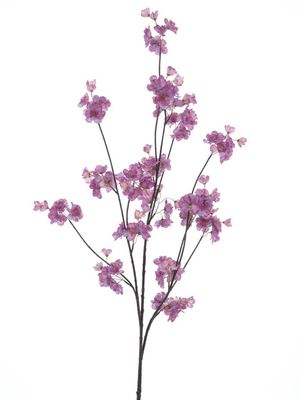 Prunus Malaga spray lavender 126cm