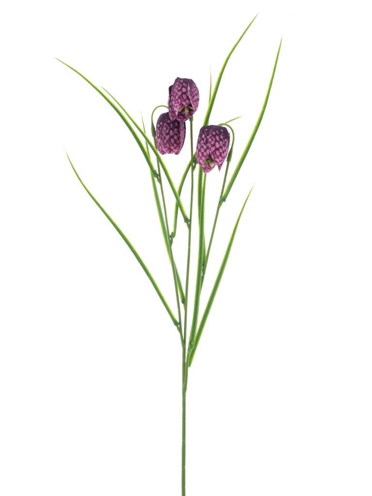 Fritillaria spray lavender 50cm