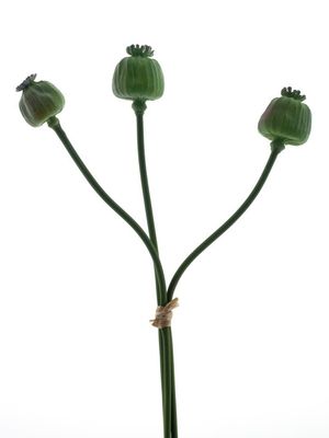 Poppy fruit spray bundle x3 pcs green 55cm