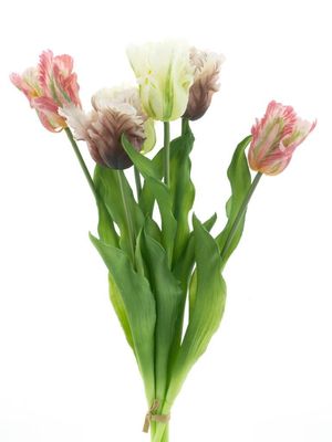 Parrot tulip bundle Sally pink combo 51cm