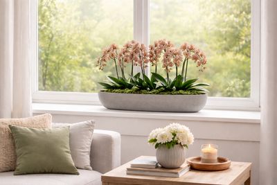 Potten voor in vensterbank