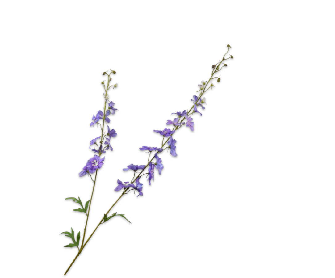 Delphinium Tak lavendel/paars 122cm