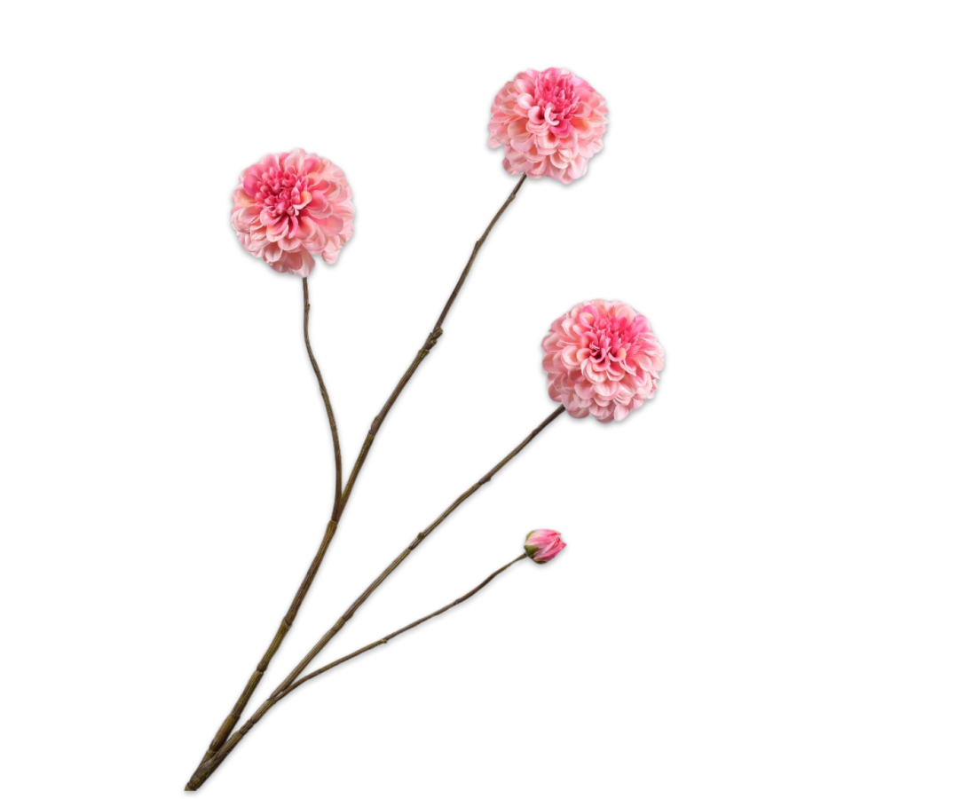 Dahlia Tak roze 103cm