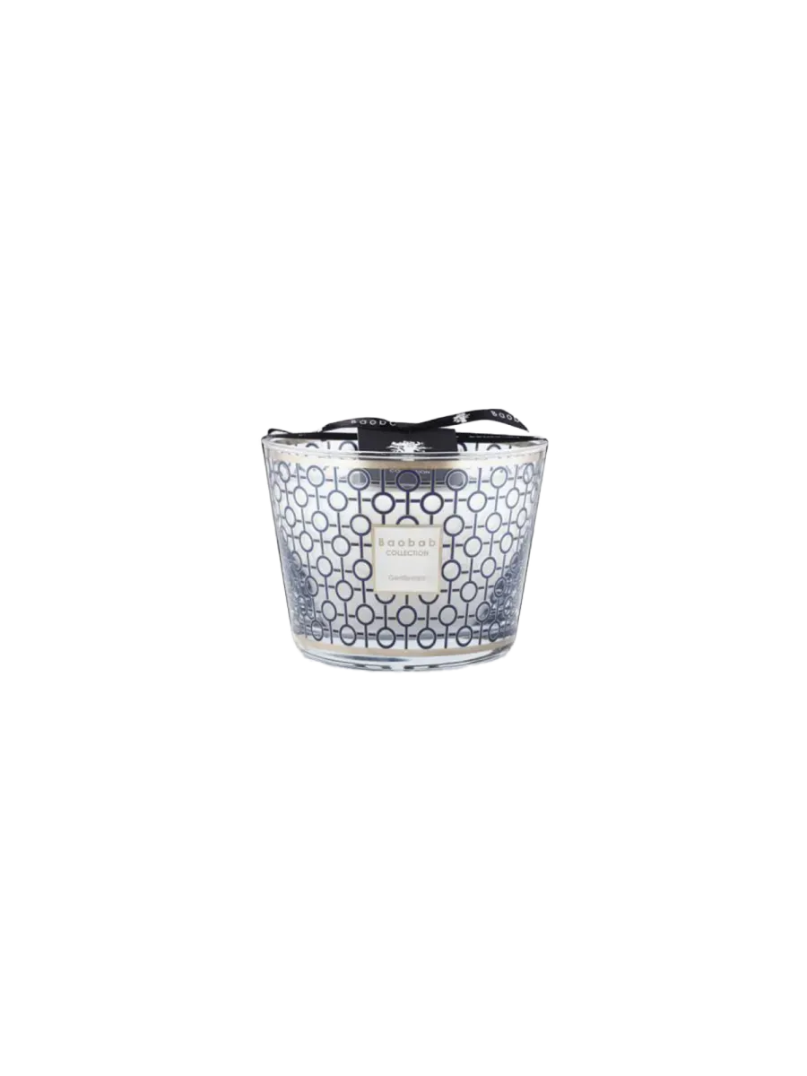 Baobab Collection Gentlemen Classique – Luxe Geurkaars