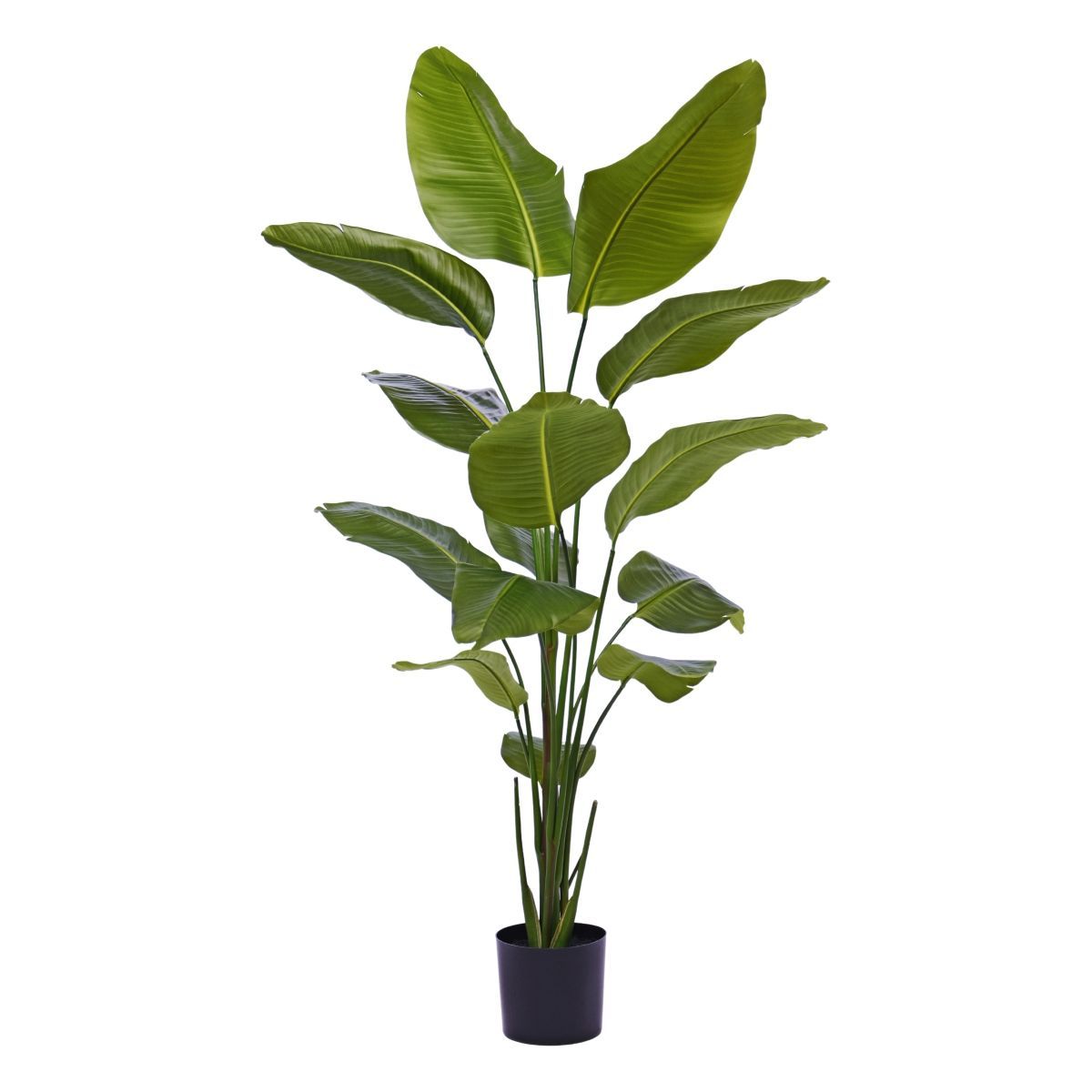 Strelitzia Nicolai Kunstplant H175