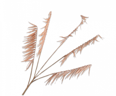 Varen Tak champagne 113 cm