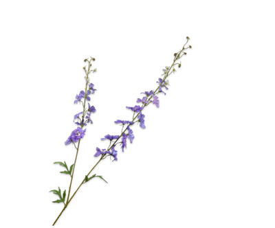 Silk-ka Delphinium Kunsttak Lila/Paars 122 cm – Luxe Real Touch Bloemtak