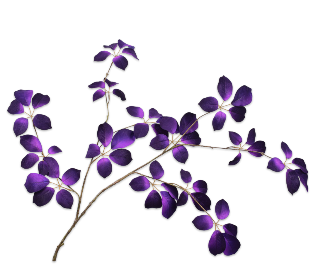 Bladtak Fluweel paars 134cm