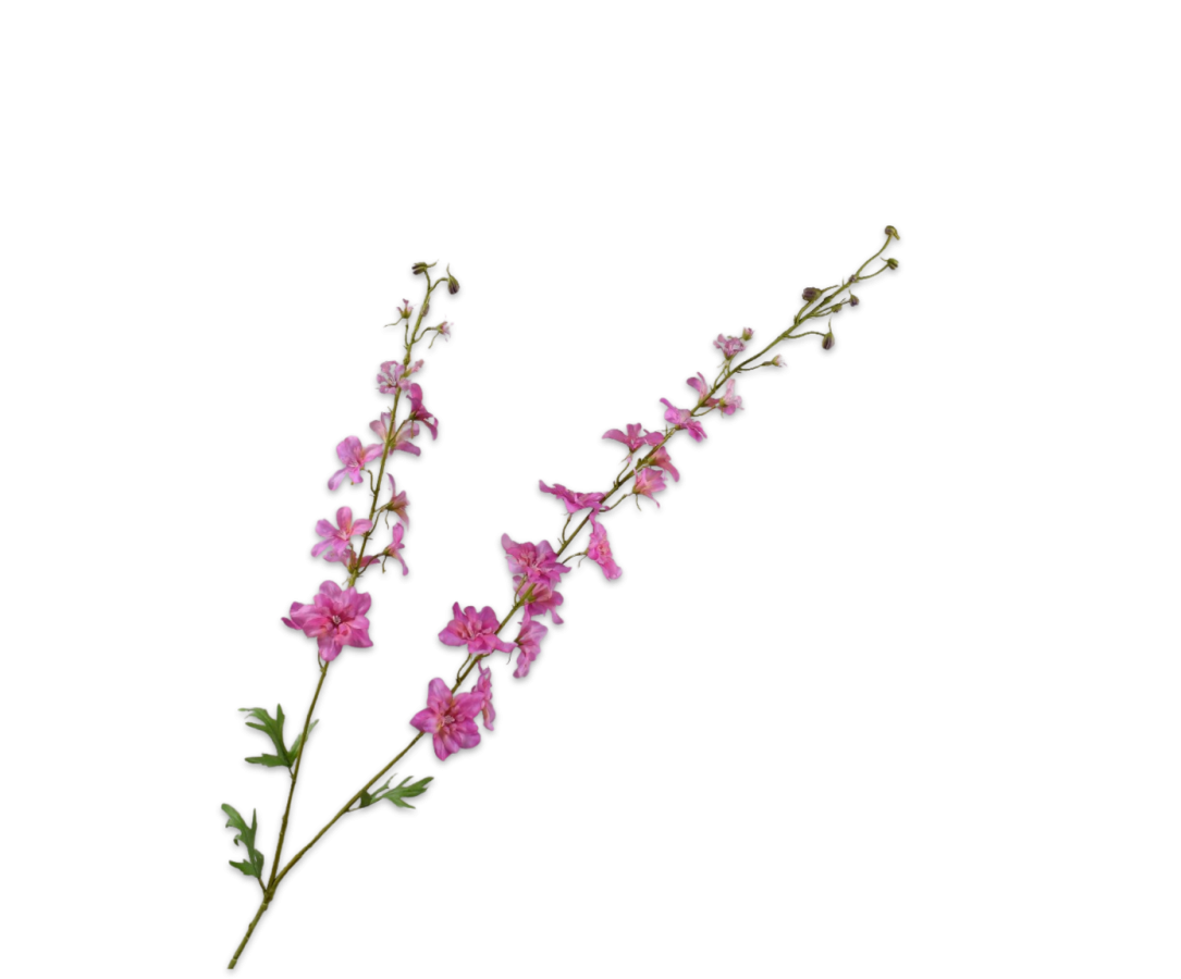 Delphinium Tak donker roze 122cm