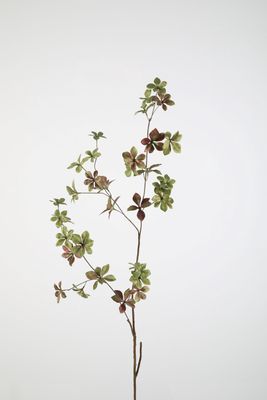 Small Leaves Do Dan Branch 127cm