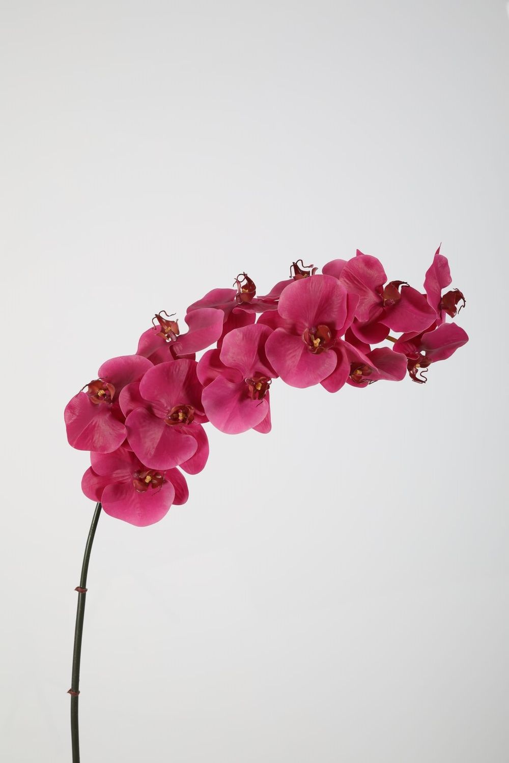 Phalaenopsis Orchidee Kunstbloem Roze-Fuchsia 107 cm