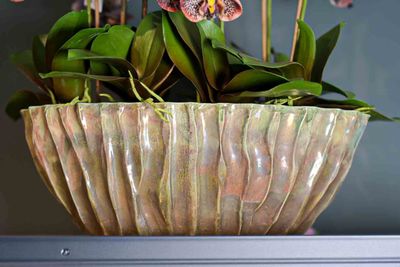 Plate Waves Vaas Copper Green 15 x 55 cm | Sculpturale schaal met golvende koper-groene glans