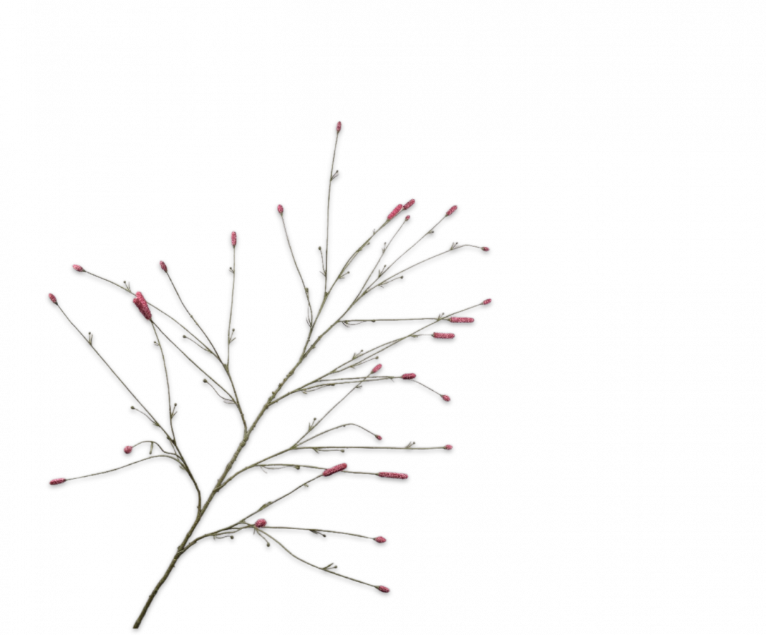 Silk-ka Pimpernel Kunsttak Roze – 146 cm