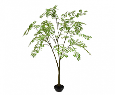 Silk-ka Aralia Kunstplant XL 210 cm – Grote Groene Eyecatcher voor Binnen