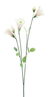 Campanula Spray creme/roze 60cm