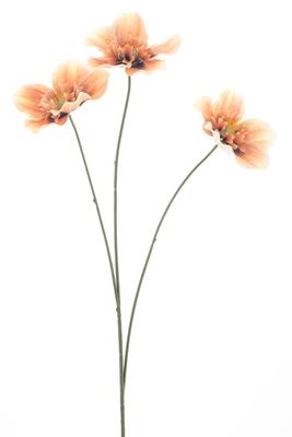 Helleborus Spray Agri geel 52cm