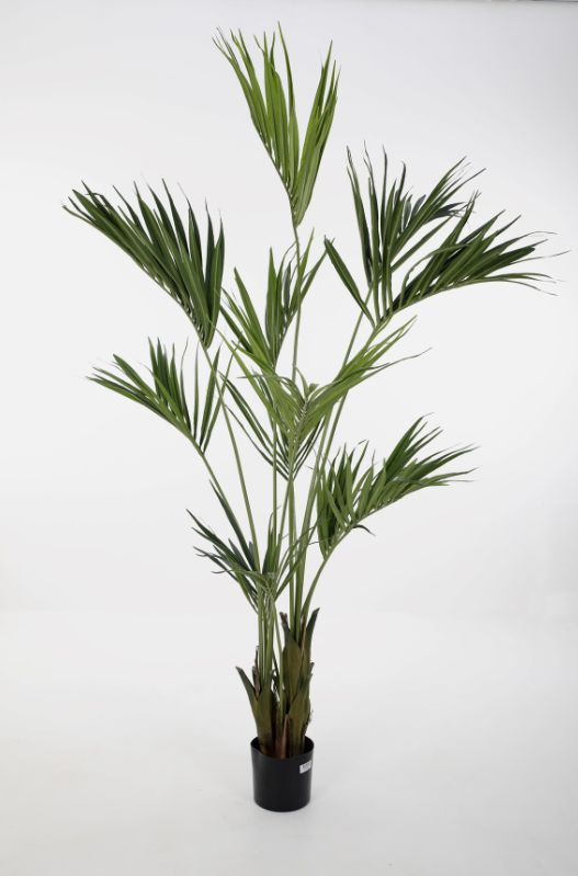 Kentia Palm Kunstplant Groen 210 cm
