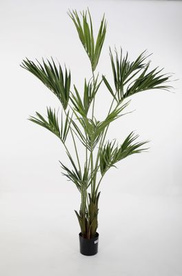 Kentia Palm Kunstplant Groen 210 cm