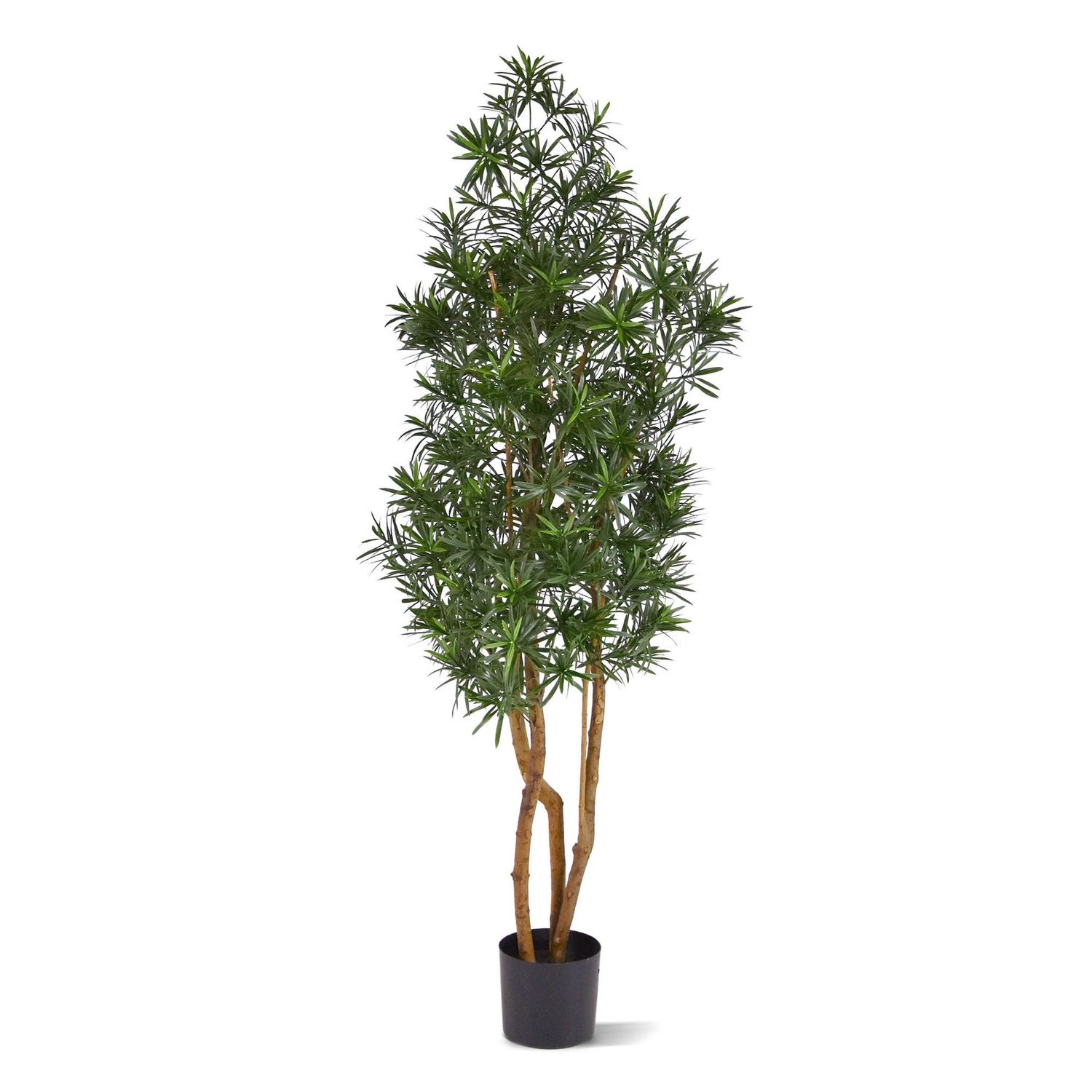 Podocarpus Kunstboom 150 cm | Kunstplant voor Buiten | Oasegroen