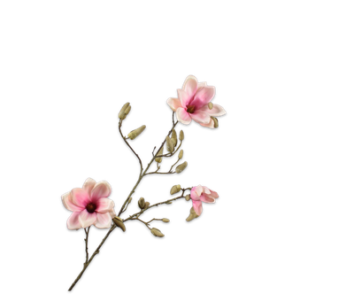 Magnolia Tak	crème/roze 103 cm