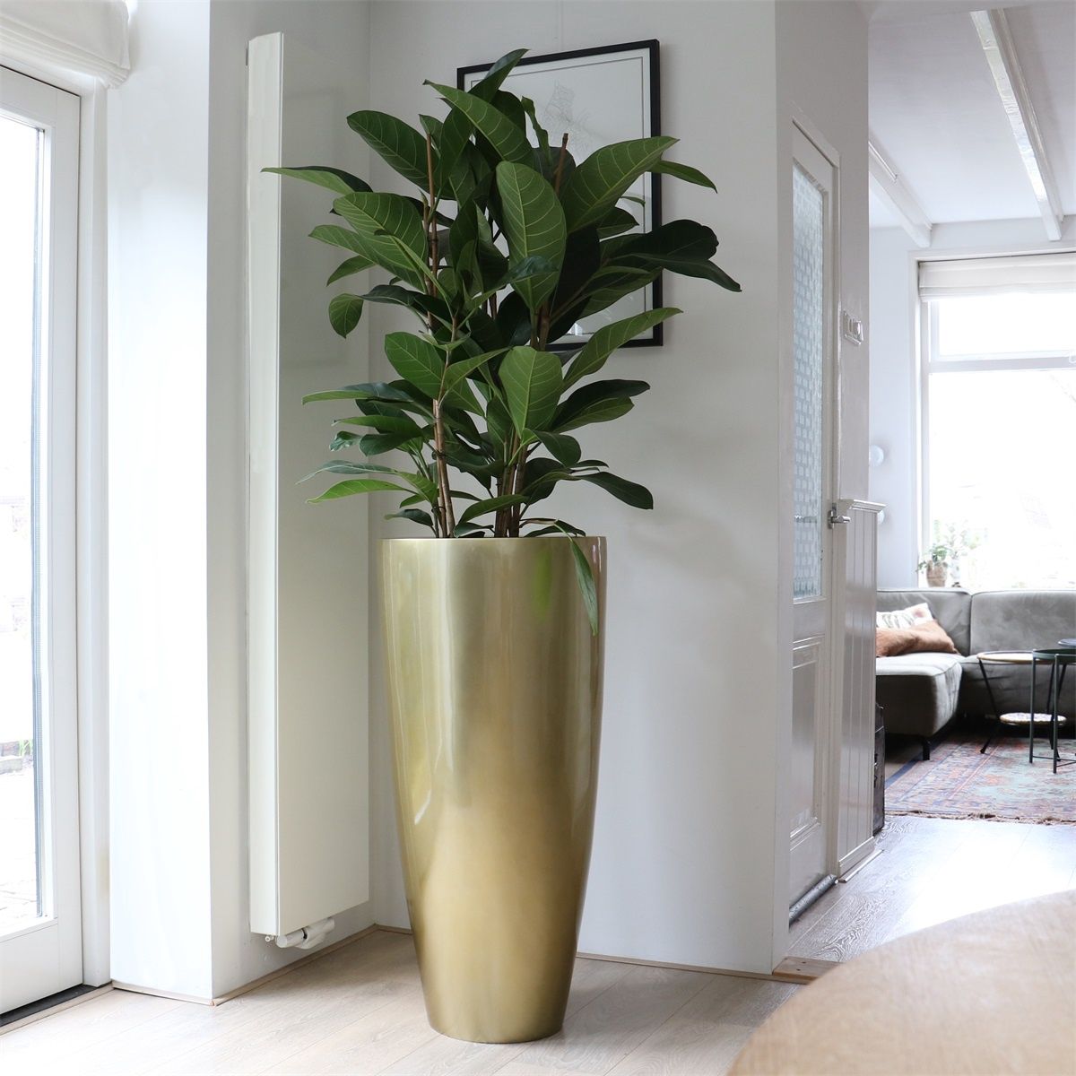 Pot Kentucky goud - Large