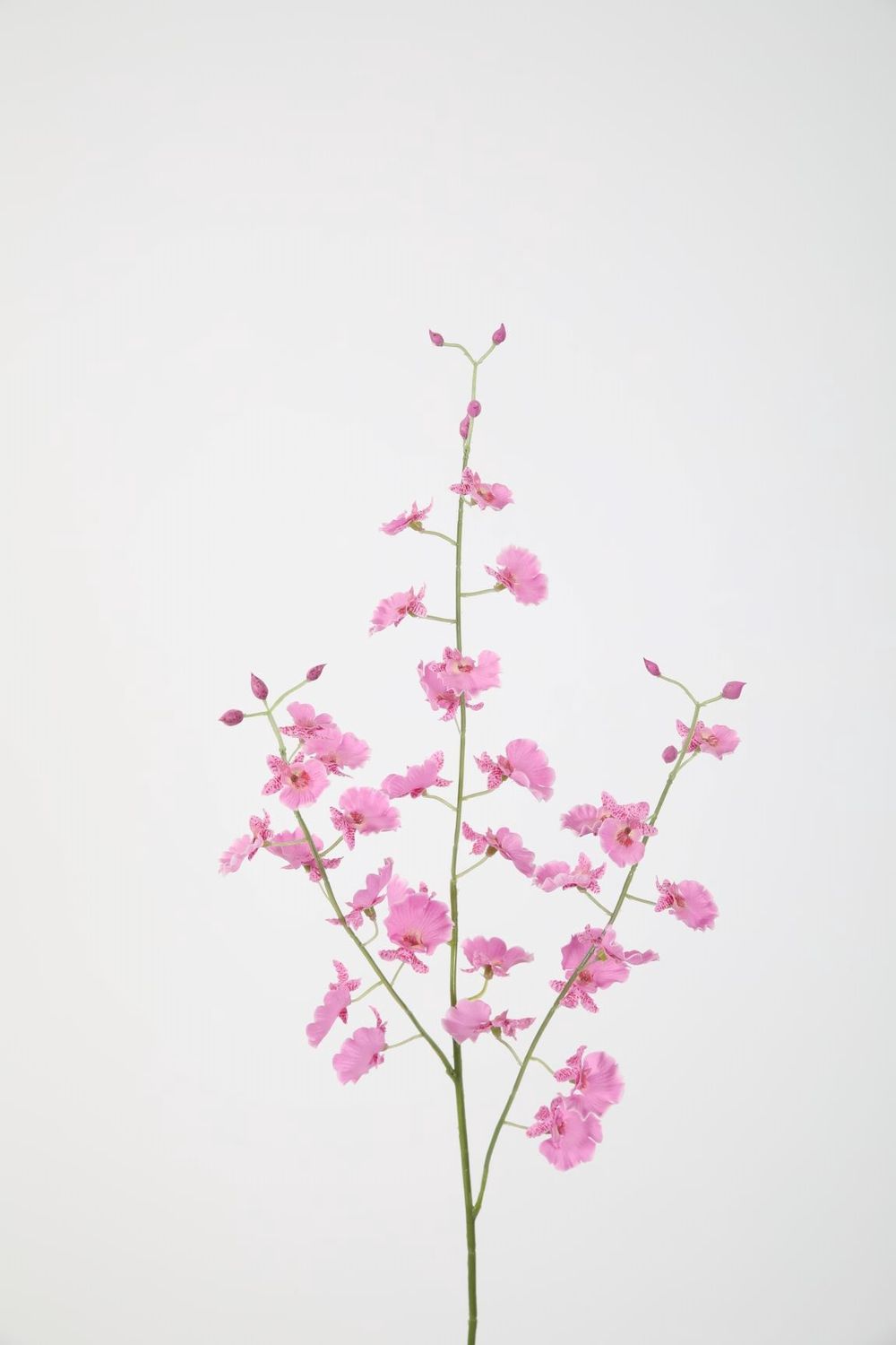 Dancing Orchid Spray roze/fuchsia 80cm