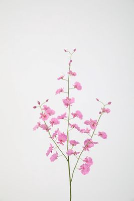 Dancing Orchid Spray roze/fuchsia 80cm