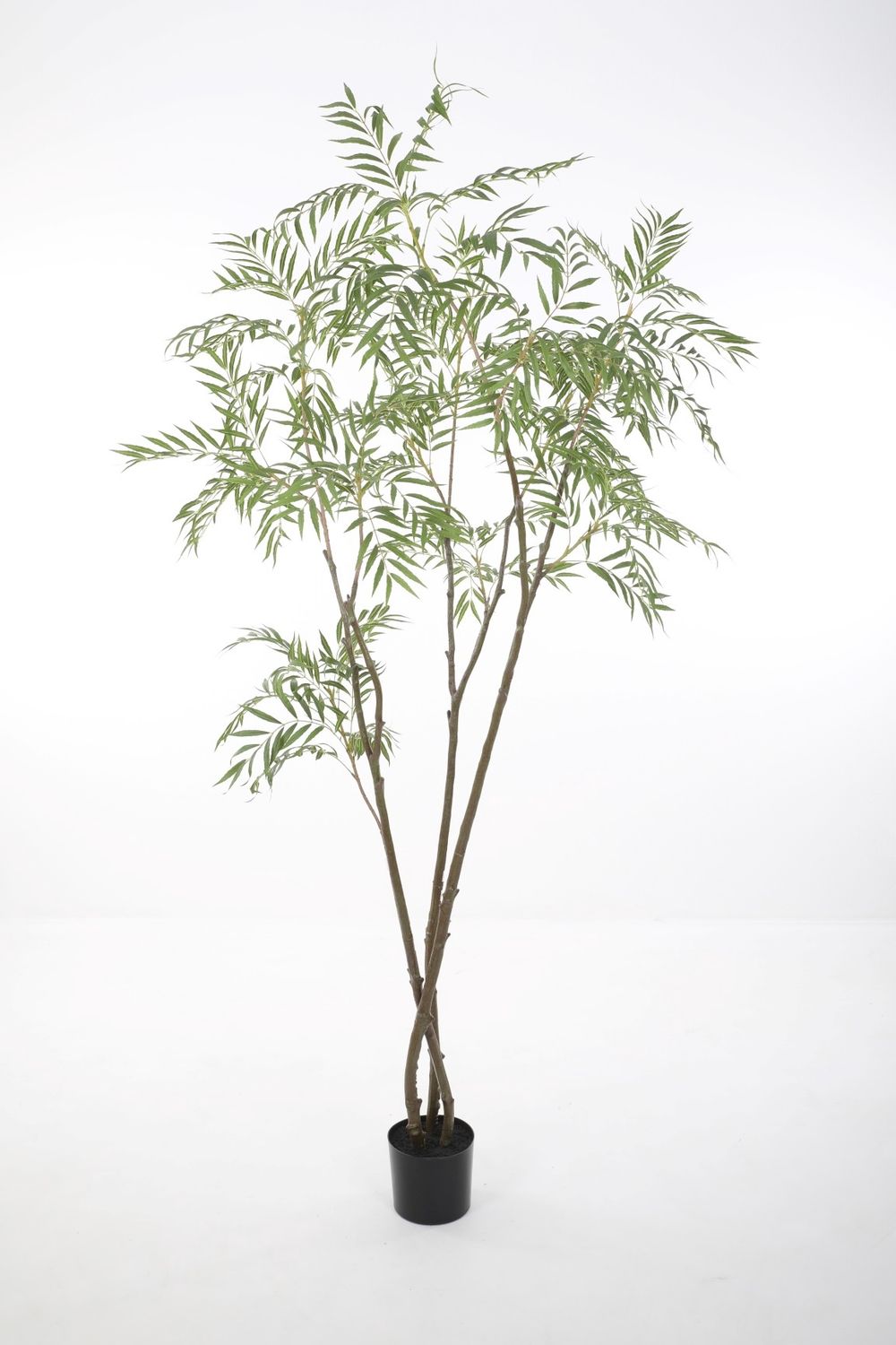 Chamaedorea Kunstpalm XL 240 cm – Luxe Kunstboom voor Binnen