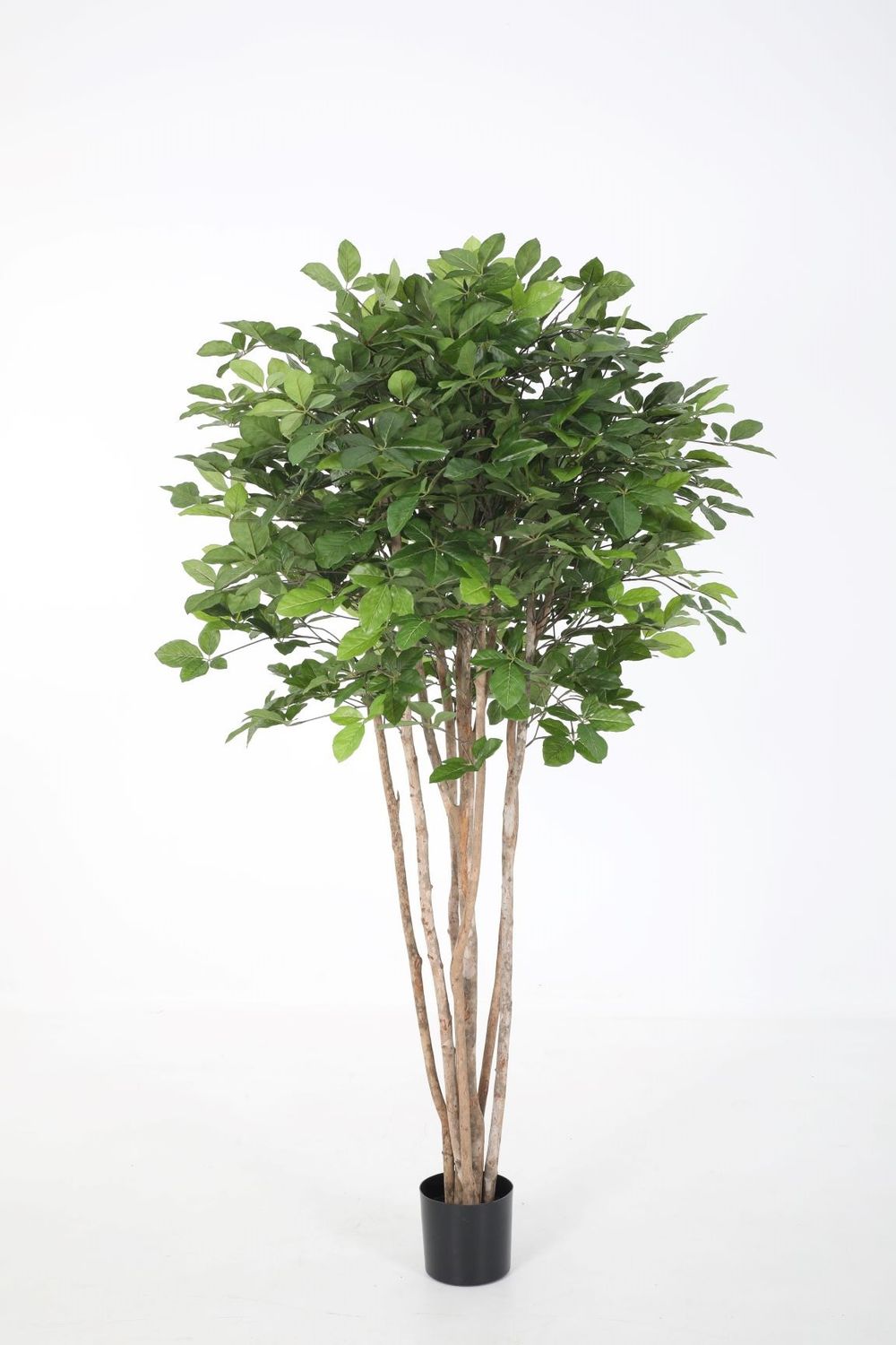 Haagbeuk Kunstboom Groen – 180 cm