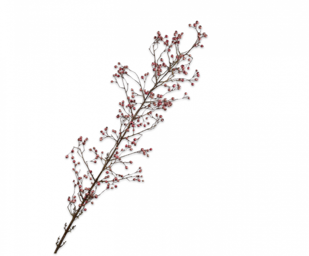 Bessentak roze 155cm