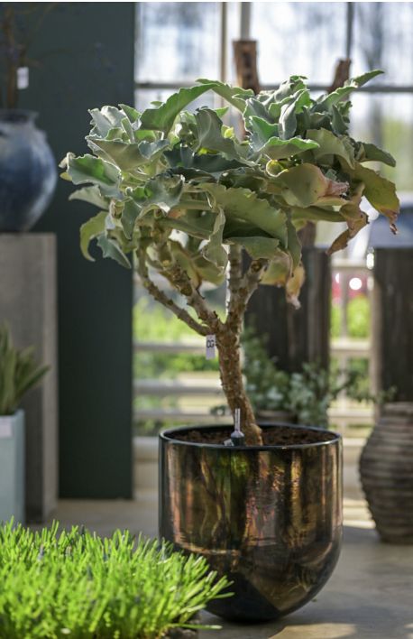 Vase Grande 60x60 Silver Matt