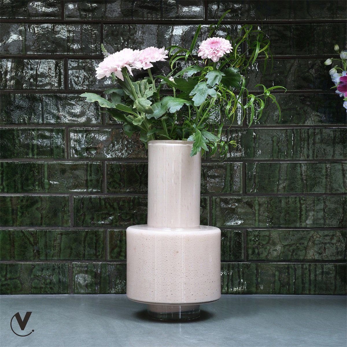 Vaas Volta Elite ivory