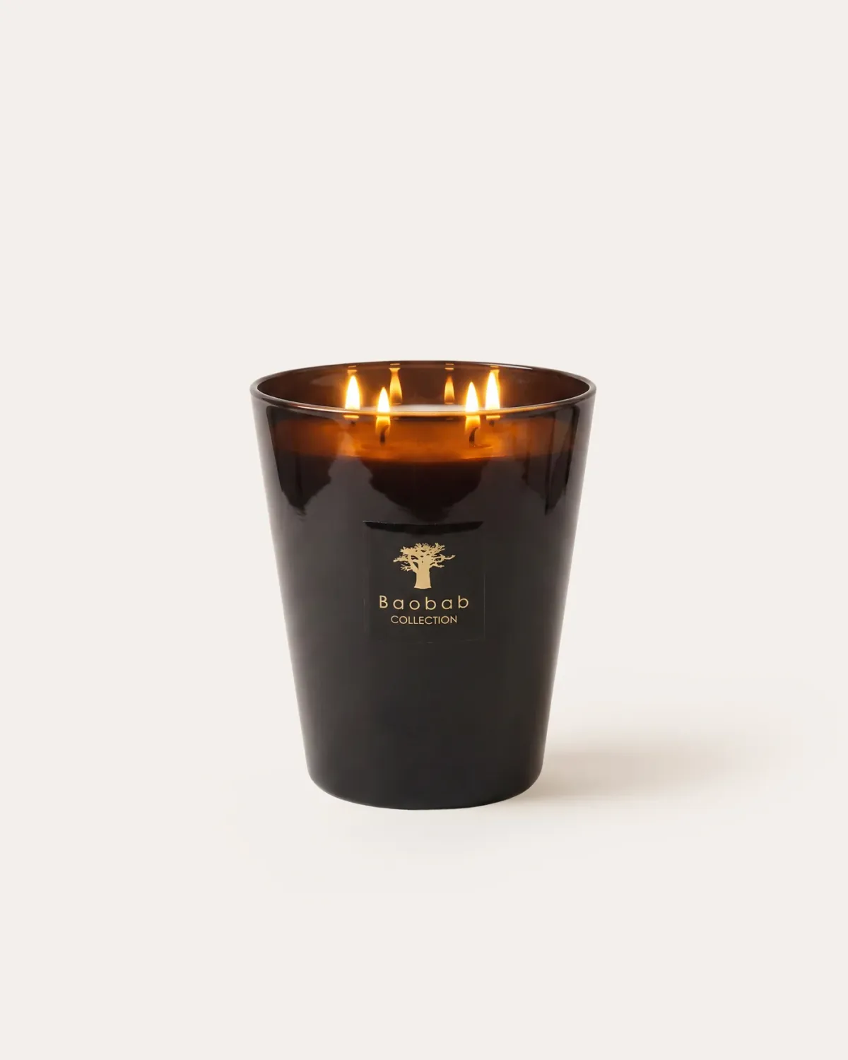 Baobab Max 16 Encre de Chine