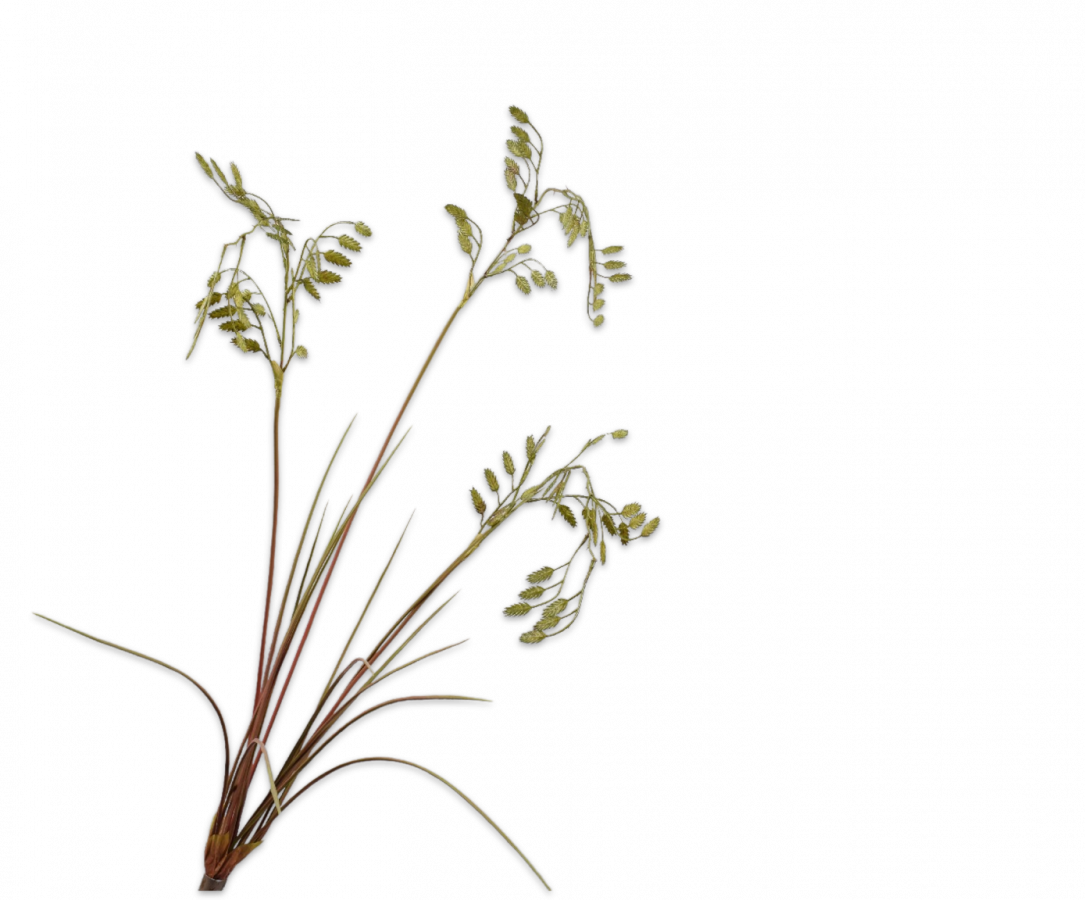 Gras Tak groen 102cm