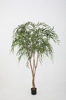 Willow Tree groen H200