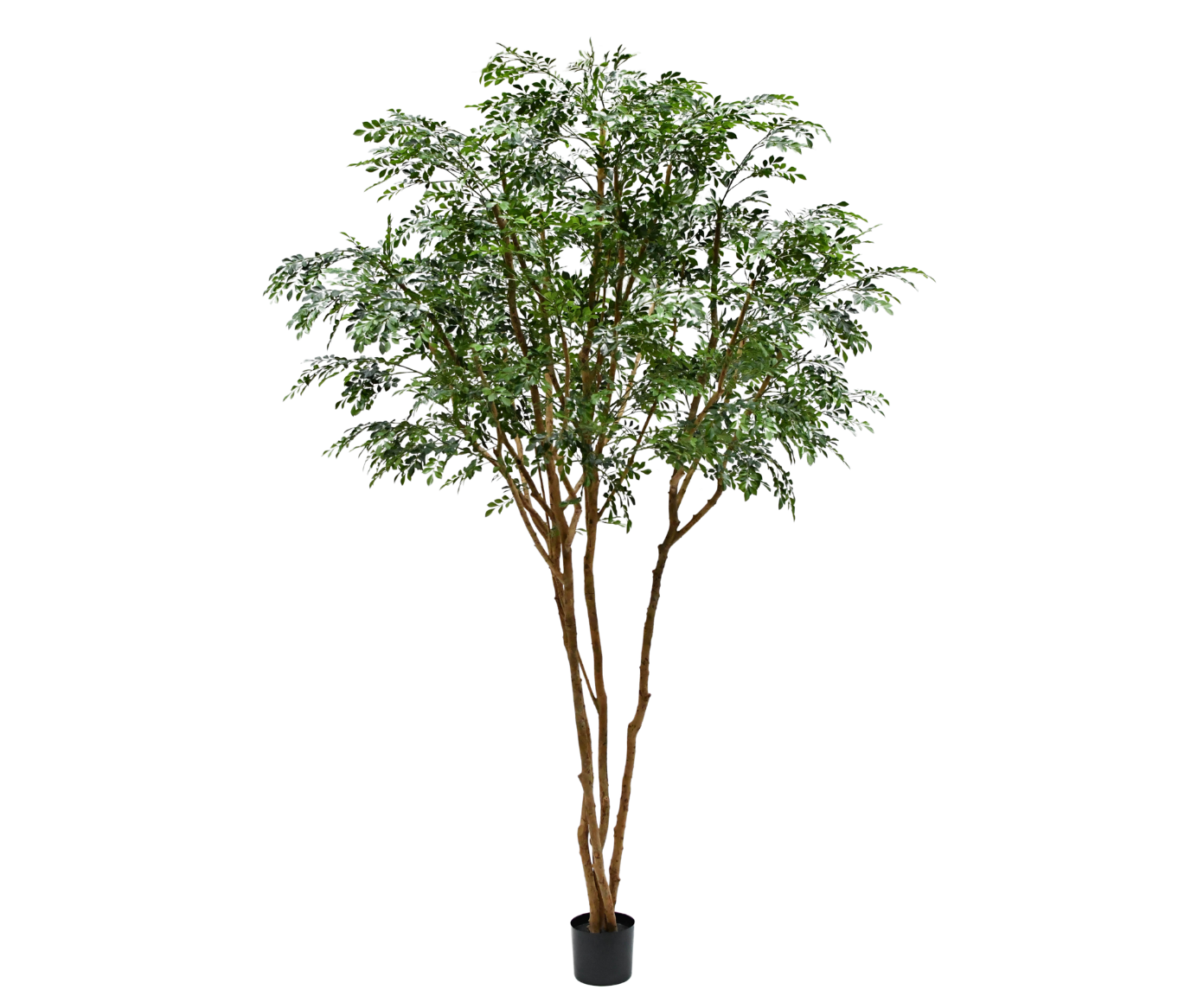 Pistache  groen H330