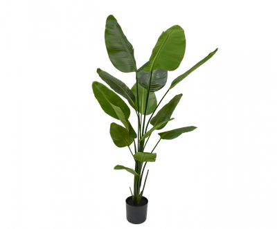 Silk-ka Kunstplant Strelitzia Groen H180