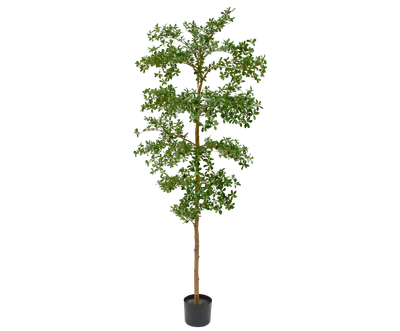 Silk-ka Kunstplant Bucida groen 244cm