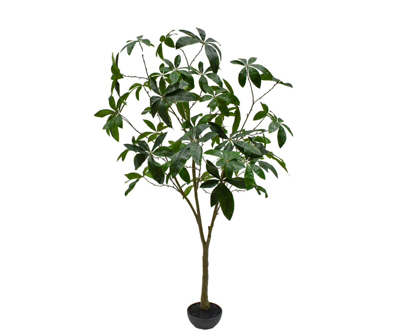 Pachira Kunstboom Groen – 205 cm | Silk-ka