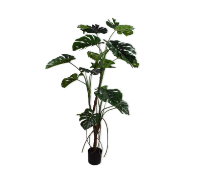 Silk-ka Kunstplant Monstera Groen H180