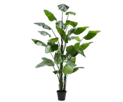 Silk-ka Kunsplant Strelitzia Groen H300