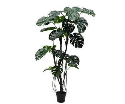 Silk-ka Kunstplant Monstera Groen H210