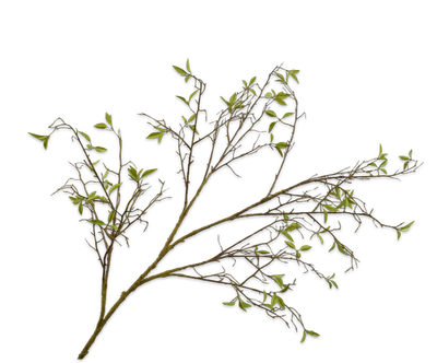 Wilgentak groen 136cm