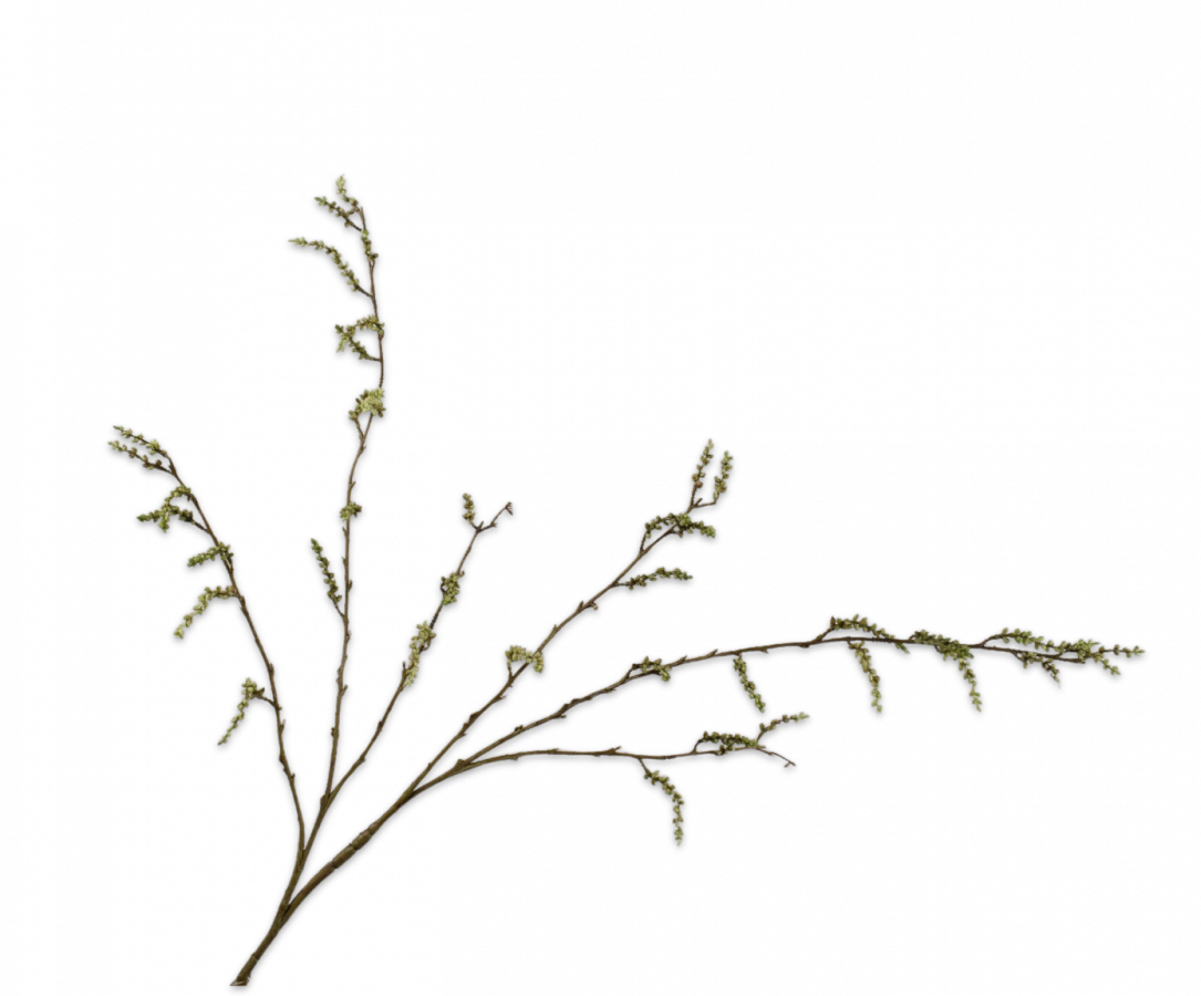 Wilgentak bruin/groen 126cm