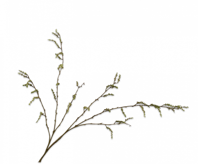 Wilgentak bruin/groen 126cm