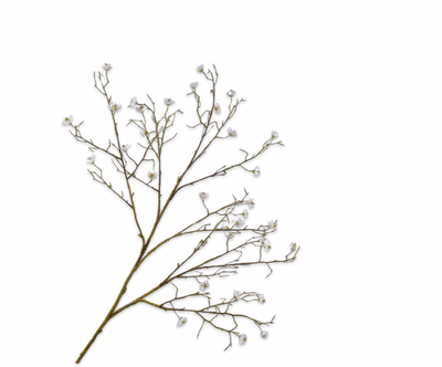 Bloesem Tak wit 107cm