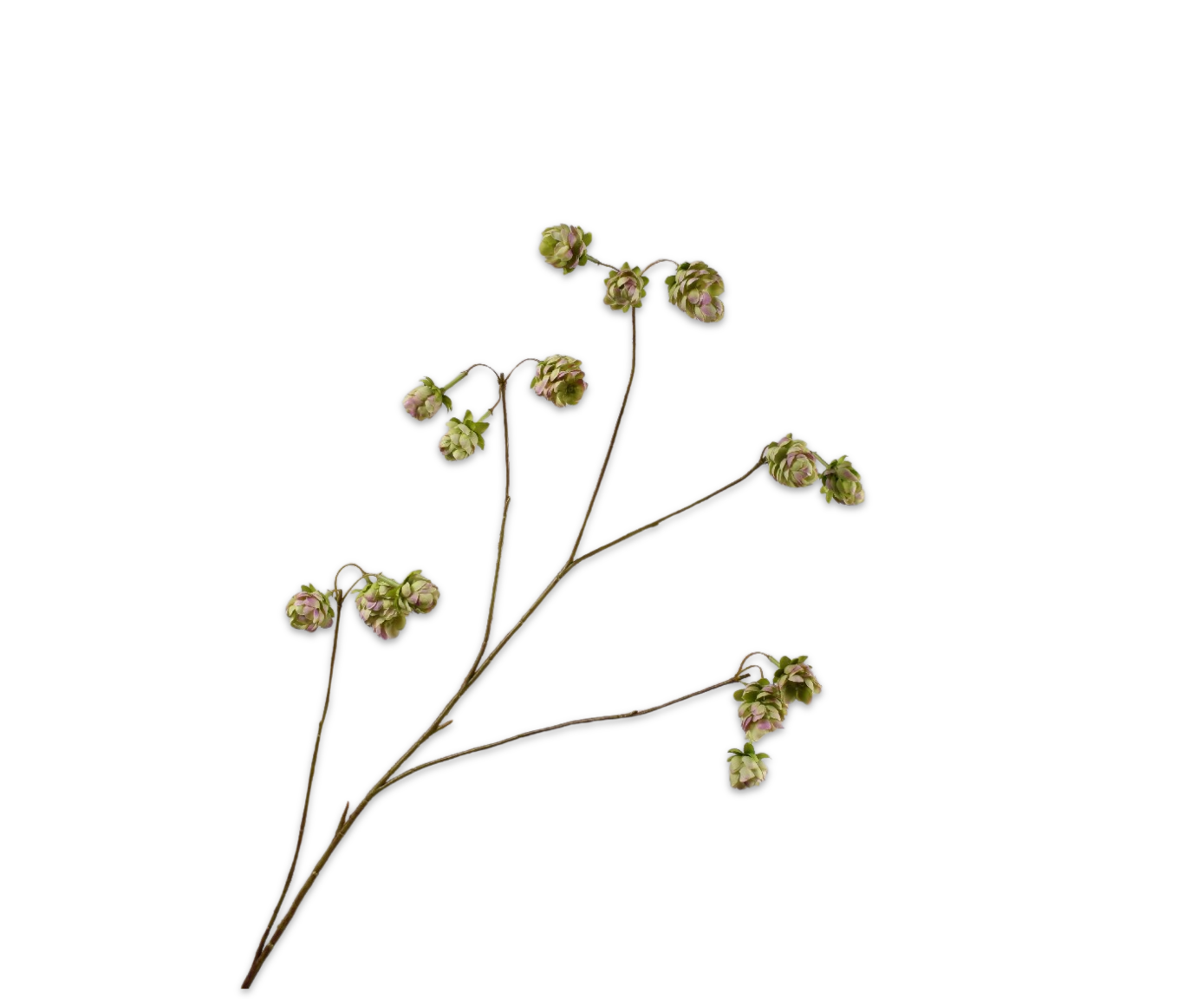 Hop Tak groen/roze 108cm